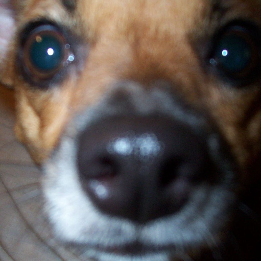 Meet your Posher, Clarissa